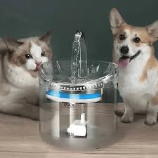 Bebedero Transparente para Mascotas – Agua Fresca y Rutina Saludable