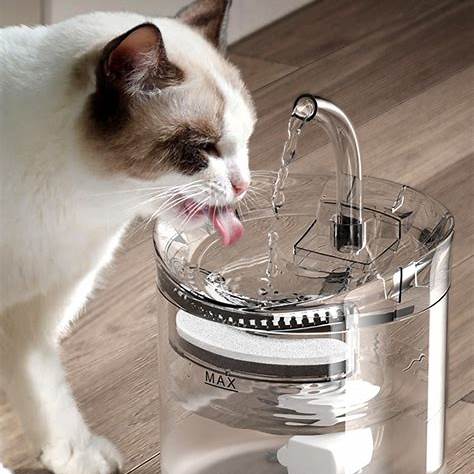 Bebedero Transparente para Mascotas – Agua Fresca y Rutina Saludable